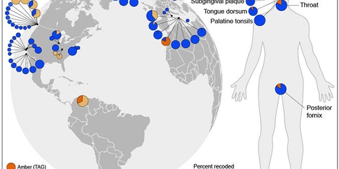 Microbes Refute Belief All Organisms Share a Common Vocabulary