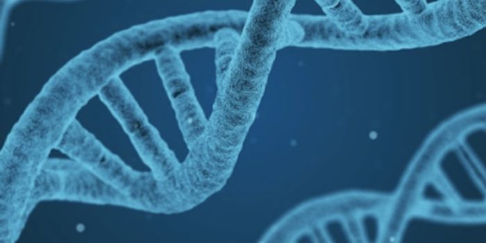 Heritable and Environmental Factors Influence Gene Activity