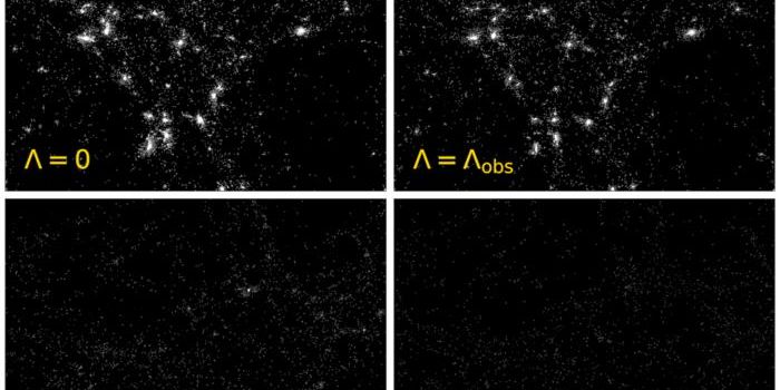 Life in the Multiverse: The Role of Dark Energy in Star Formation and Intelligence
