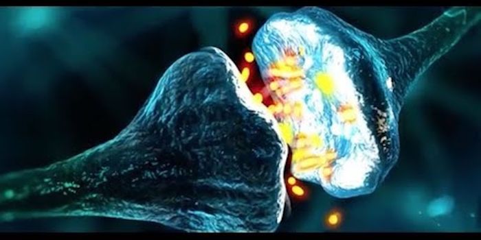 An Unexpected Role for Astrocytes