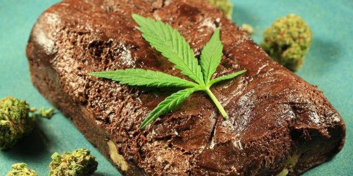 What Medical Cannabis Products are Best for You?