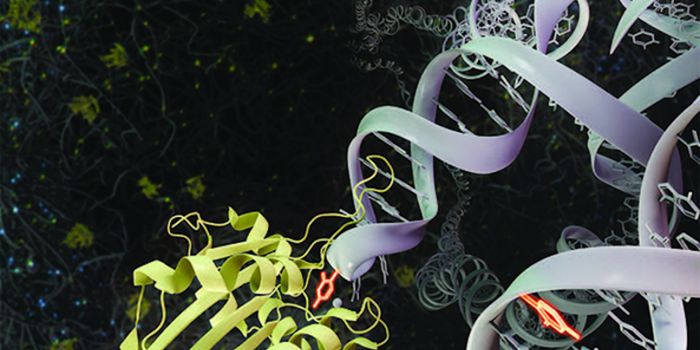 Insight Into an Antiviral Enzyme That Can Impact Cancer Cells