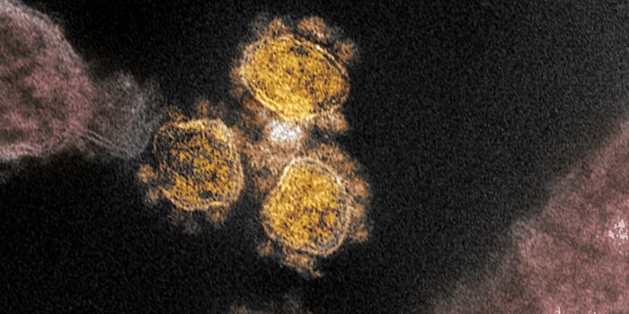 How Soap and Hand Sanitizer Kill Viruses