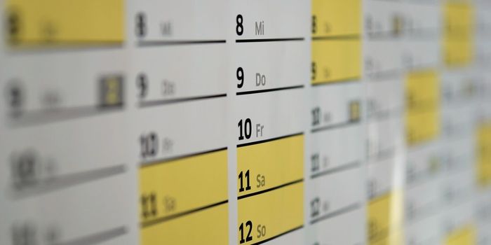 Next-Day Responsibilities like Caregiving Reduce Cannabis Use