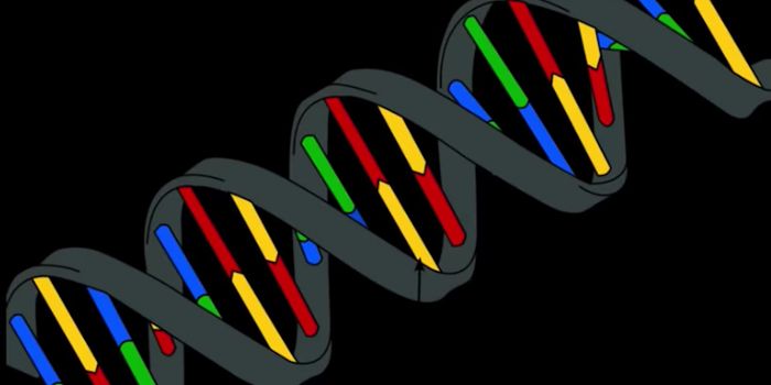 Anti-CRISPR Proteins Appear to be Naturally Abundant