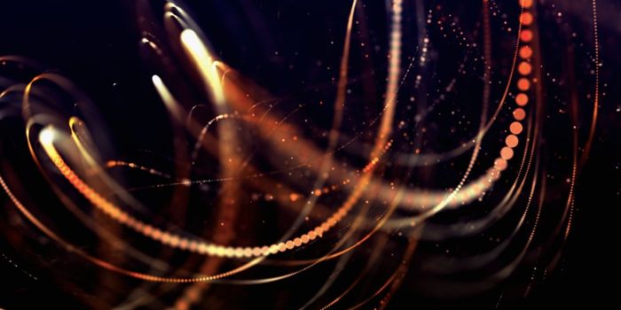 A Look at How Cells Choose Their Fate