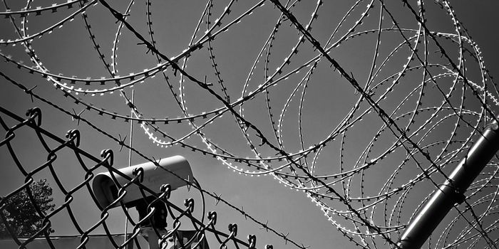 Antibodies Gain the Upper Hand Against Sly Tumors