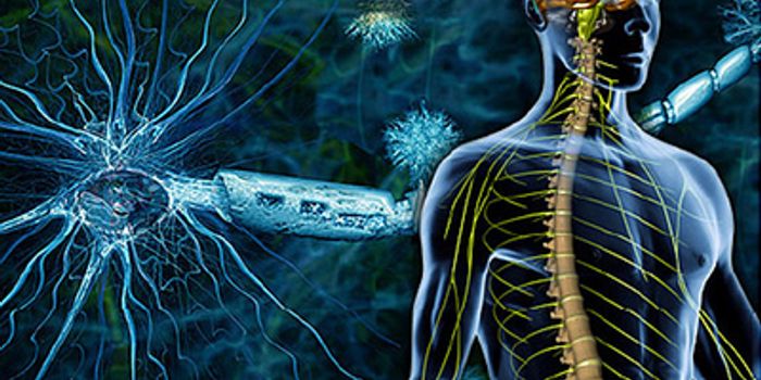 Positive Results for Ocrelizumab Raise Hope for MS Cure