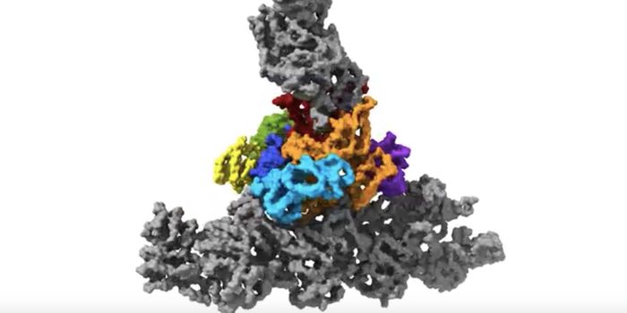 Putting Cells in Deep Freeze to Reveal Fine Structures in Action