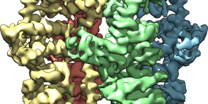 First Look at 'Wasabi Receptor' Brings Insight for Pain Drug Development
