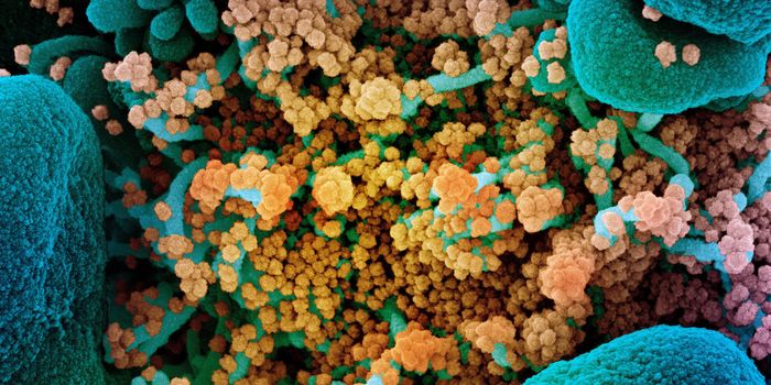 Childhood Vaccine May Help Prevent Severe COVID-19 Cases