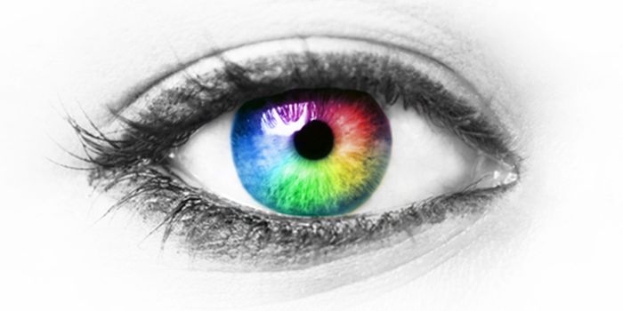 Nerve Cells, Blood Vessels in Eye ‘Talk' to Keep Healthy, Experts Say