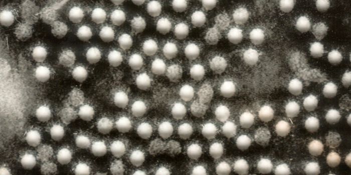 'Virus-Like Particle' Method to Make new Polio Vaccines Proven Effective