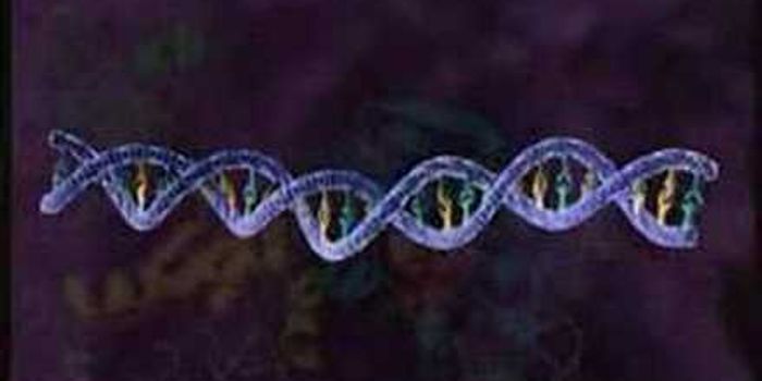 HIV Replication 3D Animation