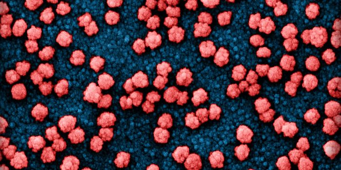 Revealing More About the Epicenter of the COVID-19 Pandemic