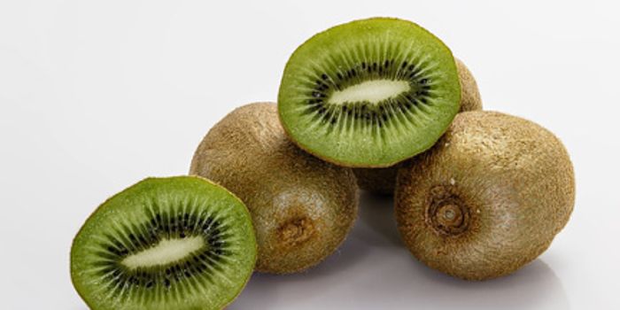 Man Acquires Kiwi Allergy After Bone Marrow Transplant
