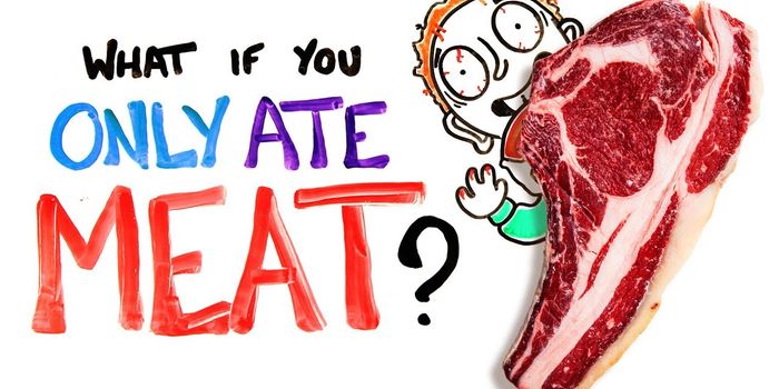 What a Meat-Only Diet Will Do to Your Body