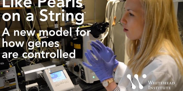 Rethinking What we Know About Gene Control