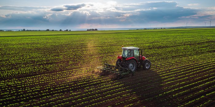 Overcoming Challenges in Extracting Plant DNA