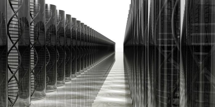 A Mildly Pathogenic Mutation, Inherited Over 800 Years, Traces Back to One Person