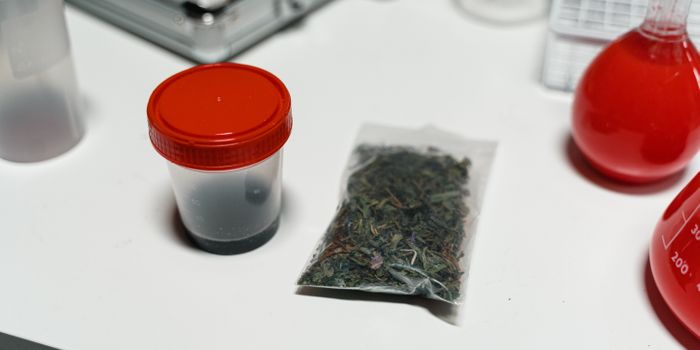 To Trust or Not to Trust the Process: Bioreactive Chemical Variation in Cannabis Extracts Based on Extraction Method