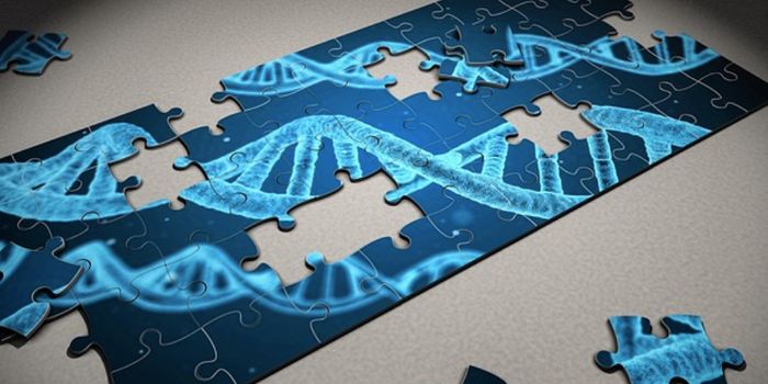 A Recipe for Evolution: Genes Get Repurposed for New Results