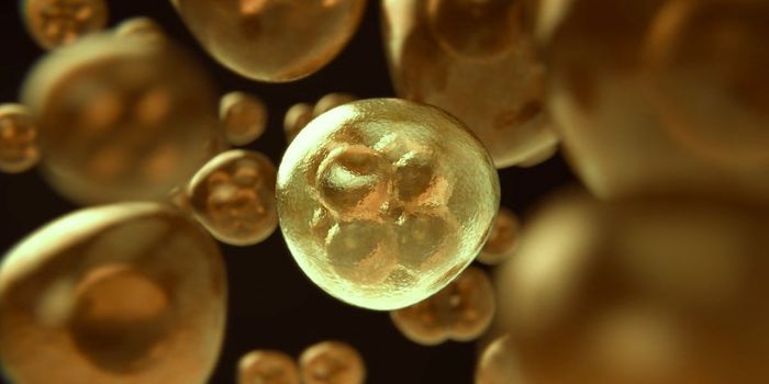 Chemotherapy Disrupts Gut Bacteria in Cancer Patients