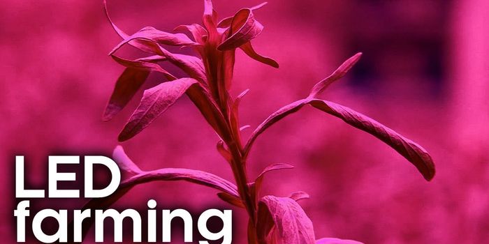 LED Farming: New Method of Growing Crops