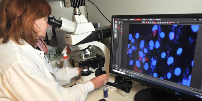 A Bacterial Compound Could Become a Treatment for Parasitic Infections