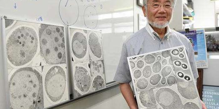 Yoshinori Ohsumi Awarded Nobel Prize in Medicine for Autophagy Work