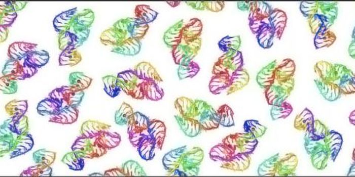 Analysis of the Ribozyme Finds a High Tolerance for Mutations