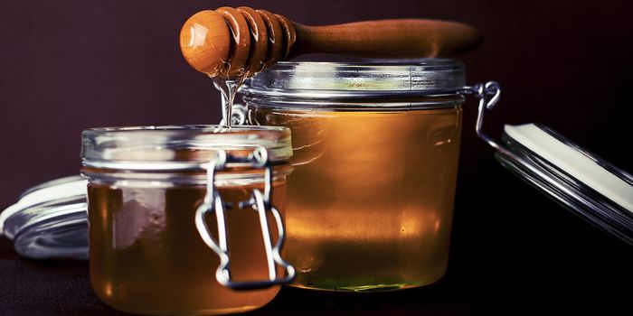 Manuka Honey Helps Treat Drug Resistant Lung Infections