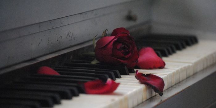 How Much Do Genes Influence Sexuality?