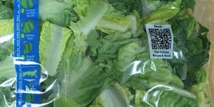 Another Case of Lettuce Contamination