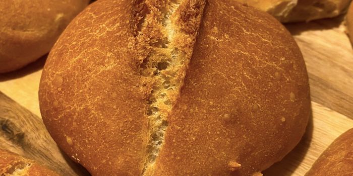 Different Flours Make Different Sourdough Flavors