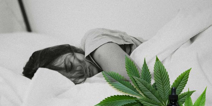 Is Cannabis Helping America Sleep?