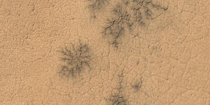 Martian Araneiforms Spotted Where We Least Expected to Find Them