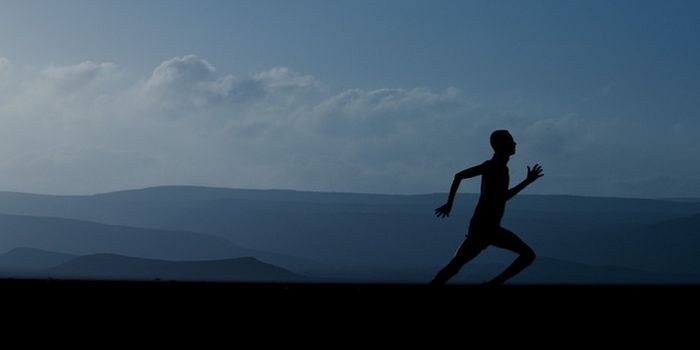 New Insights Into How Exercise Improves Brain Health