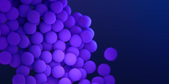 Newly Found Glycopeptide Antibiotics Kill Bacteria in a New Way