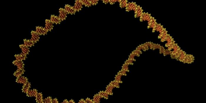 'Dancing' DNA is Caught on Video