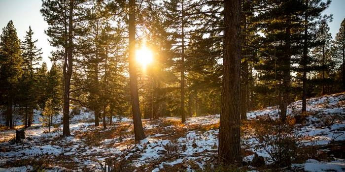 Unlocking the Secret of Snow Predictions: University of Washington's Findings