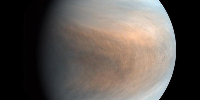 Potential Signs of Life Spotted in the Clouds of Venus