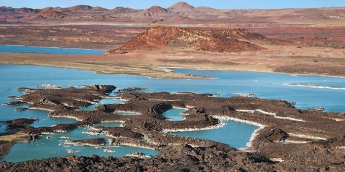 Oldest Stone Tools Discovered, Predate Genus Homo