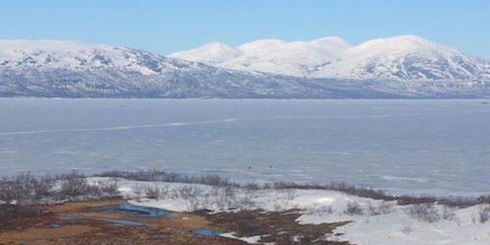 Understanding how Microbes Will Accelerate Climate Change