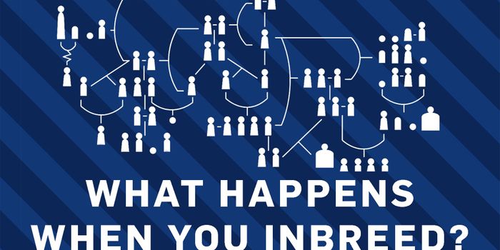 Why is Inbreeding a Bad Idea?