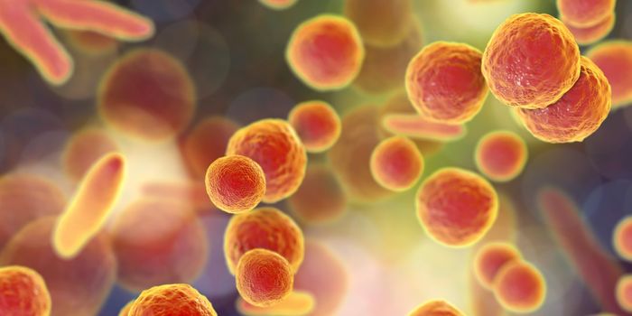 Rapid, Real-Time Detection of Contamination in Cell Cultures