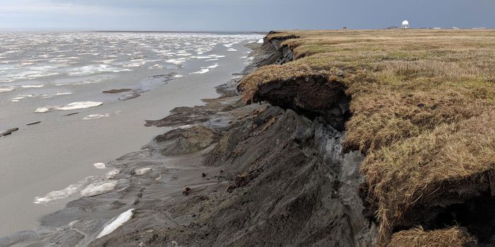 How Will Microbes in Permafrost Affect the Climate as They Thaw?