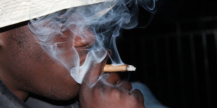 New Evidence Shows Marijuana Smoke is Not the Same as Cigarette Smoke, at Least, in Terms of Lung Disease.