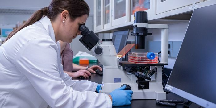 Guide to Adherent Cell Culture Basics: Seeding, Expanding, and Harvesting