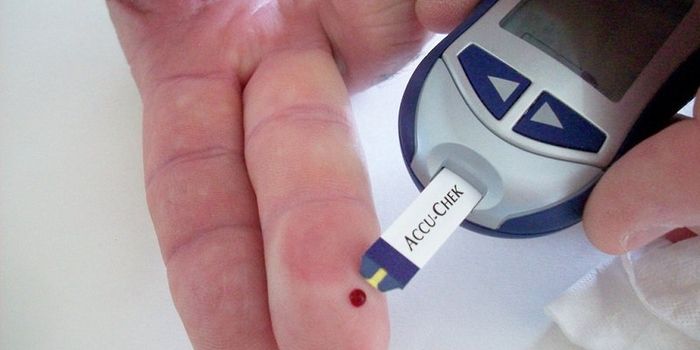 Limiting Immune Damage from Type 1 Diabetes